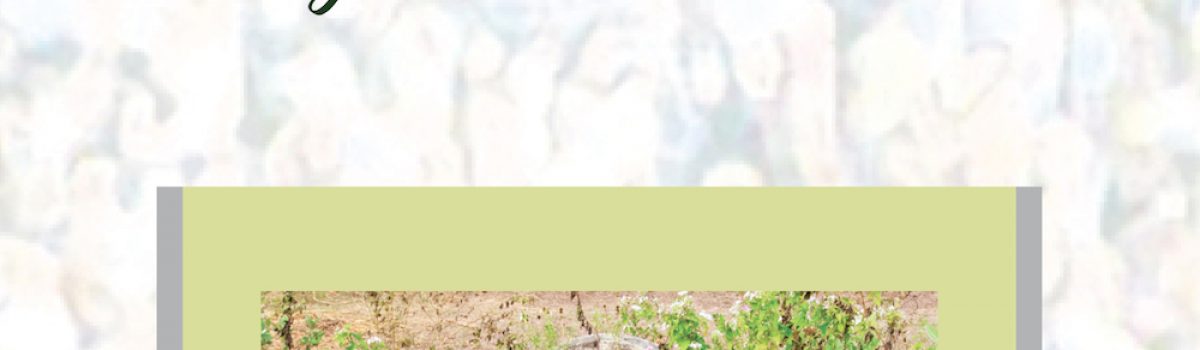 Nu je er niet meer bent