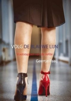 Volg de blauwe lijn