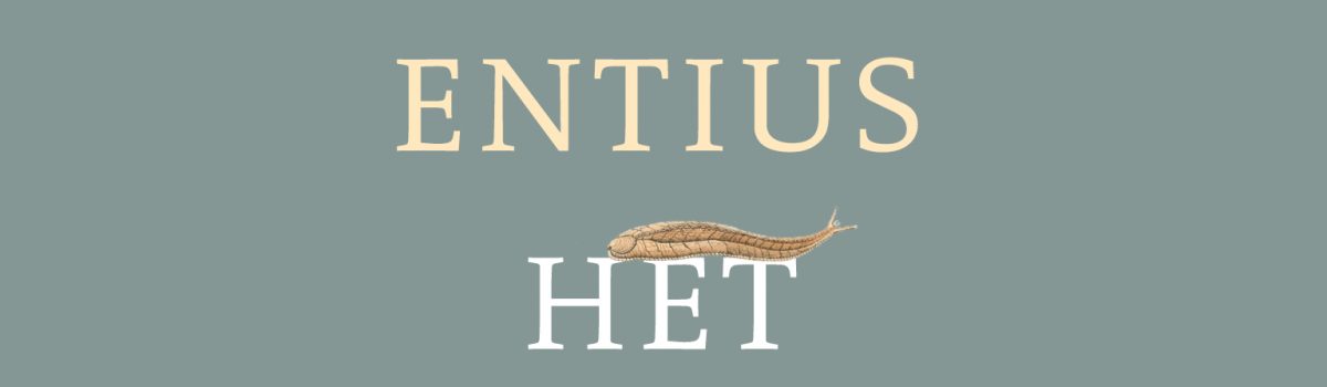Het verhaal van Benito Benin – En dat van Fanny