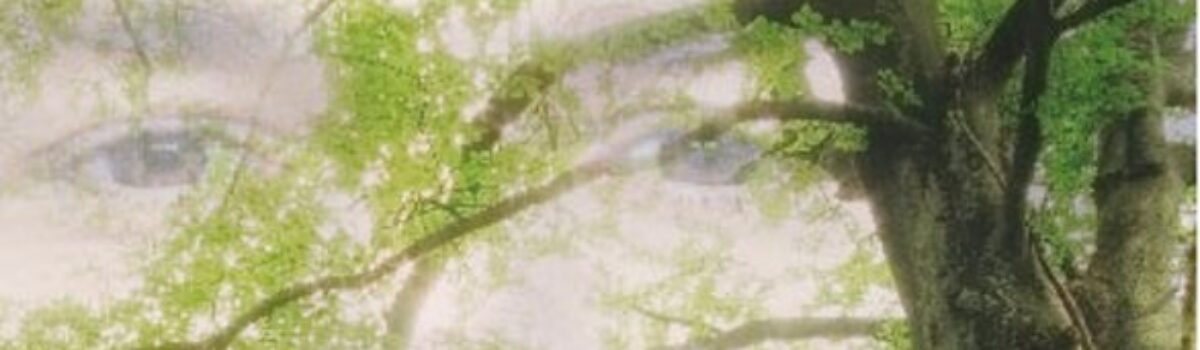 Brieven aan mijn zoon