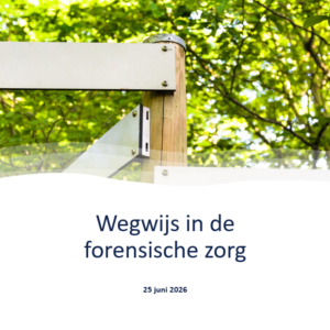 Forensische zorg